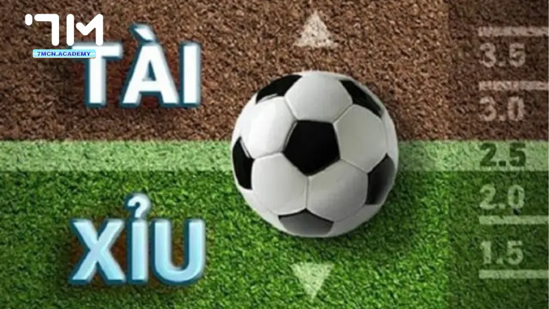 Kèo tài xỉu 2 ¼ là sao?