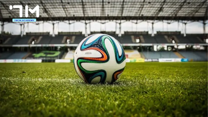 Kinh nghiệm đặt kèo 1 3_4 chuẩn từ chuyên gia